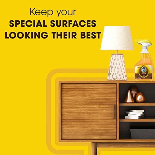 Pledge Restoring Oil Spray, Orange - Restore Sealed And Unsealed Wood Surfaces (1 Trigger Spray), 16 Oz #TOP2