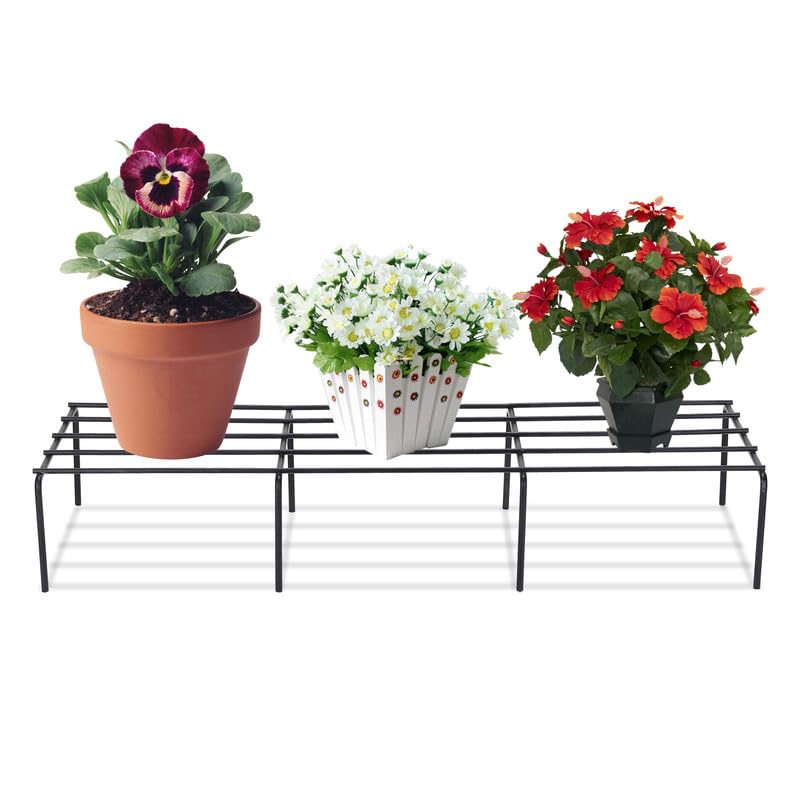 See full amazon price history chart for AB99 COLLECTION Anti Rust Metal Plant Stand for Balcony Garden, Flower Pot Stand for Balcony Set of 4 Pot Stand, Indoor & Outdoor Pot Stand, Garden Plant Pot Holder Stand (60 CM) AB99 COLLECTION Anti Rust Metal Plant Stand for Balcony Garden, Flower Pot Stand for Balcony Set of 4 Pot Stand, Indoor & Outdoor Pot Stand, Garden Plant Pot Holder Stand (60 CM) (B0CQVML5LS) Amazon Price History, Amazon Price Tracker