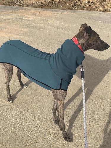 Imily Bela Hundepullover Fleece Rollkragen Hundemantel Warmer Weste Pullover Outdoor Hundejacke Winterkleidung für Kleine Mittel Große Hunde,Seeblau,M
