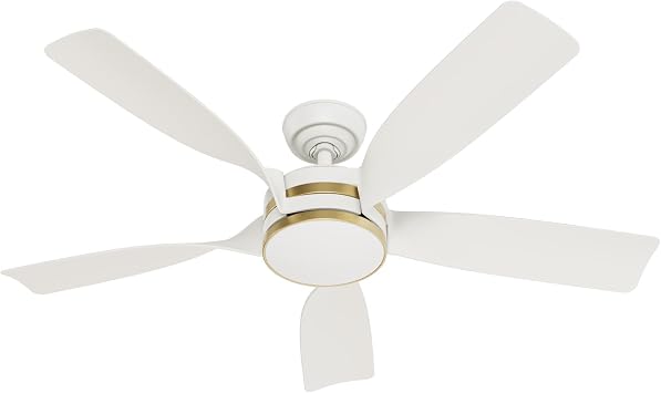 Casablanca - Julia Indoor/Outdoor Ceiling Fan With Light, Wall Control, Remote, 52-inch, 6-speed DC Motor, Energy Star, for porches, patios, sunrooms, bathrooms Fresh White
