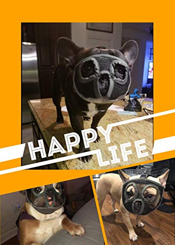 Image of Short Snout Dog Muzzles- Adjustable Breathable Mesh Bulldog Muzzle for Biting Chewing Licking Training Grooming Dog Mask (Grey, Small /9 inch-12 inch)