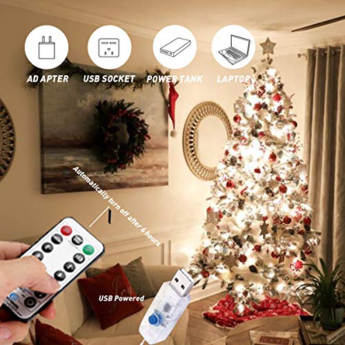 Photo Clip String Lights,Usb Or Battery Powered,100 Led 10M Copper Wire Hanging String Fairy Lights With Remote,Decoration For Indoor Bedroom Wedding Party (50 Clip & 25 Nails,Warm White,8 Modes) #TOP4