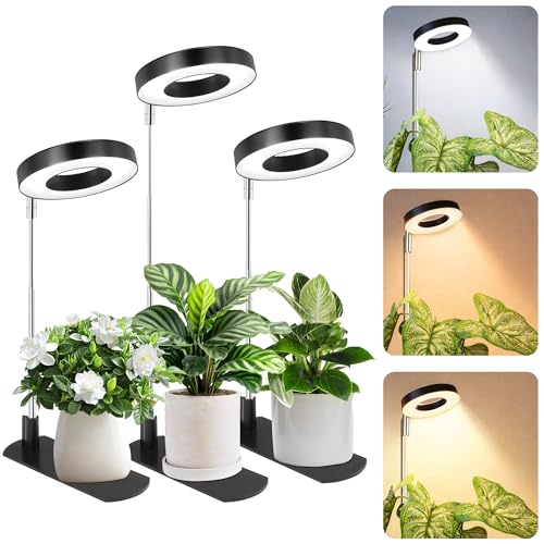 Image of LBW Grow Light for Indoor Plants,Full Spectrum Plant Light with Base,Height Adjustable Plant Grow Lamp with Auto Timer 6 /8 /12 /16H, 3 Colors,5 Dimmable Brightness, for Small Plants,Black, 3 Packs
