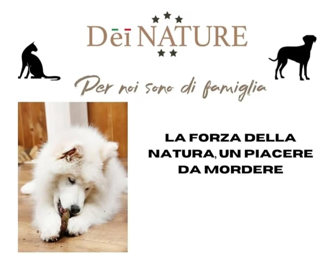 Salsicce di prosciutto,scatola da 200 pezzi-snack naturale per cani