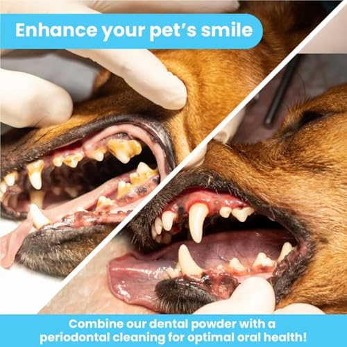 Pawtitas Natural Dog Toothpaste Powder Prevents Tartar Plaque Gum Disease Bad Breath a Natural Pet Dental Care and breath freshener for Dogs 4 OZ Bottle Pawtitas Natural Dog Toothpaste Powder Prevents Tartar Plaque Gum Disease Bad Breath a Natural Pet Dental Care and breath freshener for Dogs 4 OZ Bottle