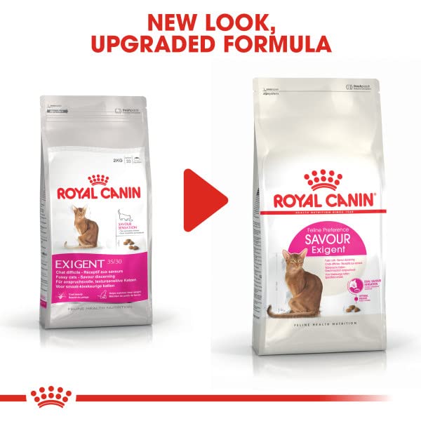 Amazon | ロイヤルカナン FHN セイバー エクシジェント 成猫用 4kg