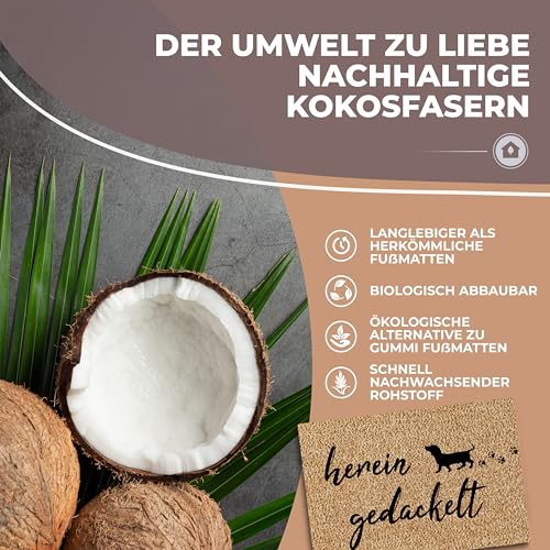 ElbFuchs Fußmatte Kokos 60x40cm Hereingedackelte I Extra langlebige & rutschfeste Kokosmatte für Innen & Überdachte Außenbereiche I Lustige Türmatte mit Dackel Motiv I Ideal als Schmutzfang