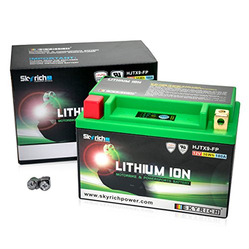 Skyrich HJTX9-FP - Batería
