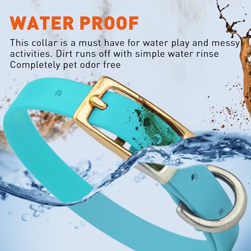 Image of Viper Biothane Heavy Duty Waterproof Dog Collar Strong Coated Nylon Webbing w /Solid Brass Hardware Odor-Proof Easy to Clean High Performance Fits Small Medium or Large Dogs, Sky Blue