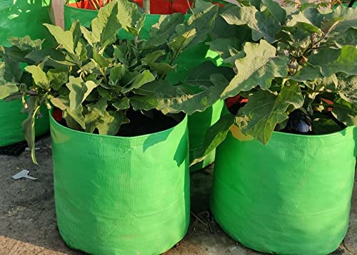 KINGWELL 24x6 Premium HDPE Leafy Grow Bags for Home, Terrace, & Kitchen Gardening | Plant Bag for Vegetables, & Herbs | Round Green Planter | 220 GSM Growing Bags for Spinach (Pack of 2) 2