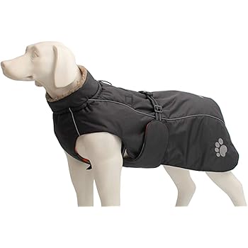 dog winter coat