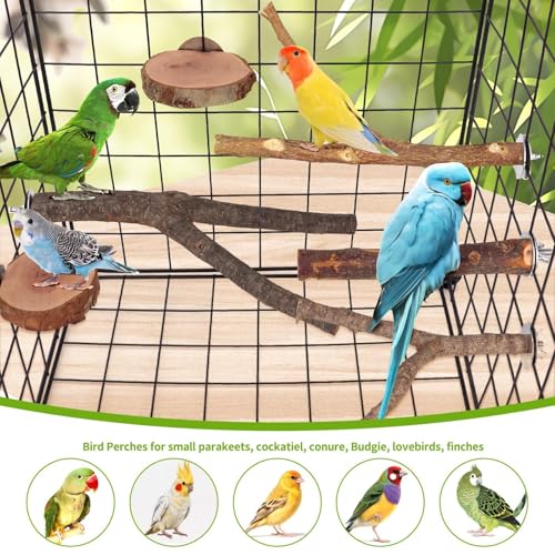 Image of 12PCS Natural Wood Bird Perches for Cage, Parrot Perch Stand & Platform, Bird Cage Accessories - Multi-Size Perches for Parakeets, Cockatiels, Conures, Lovebirds