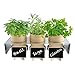 CB Accessories Mini Chalkboard Signs for Food Labels with Easel Stand for Party Decoration, Place Cards, Table Numbers, Name Tags - Reusable with Chalk Markers (10 Sets)