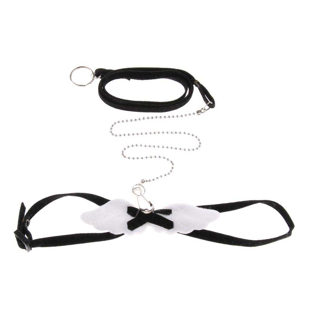 sugar glider harness