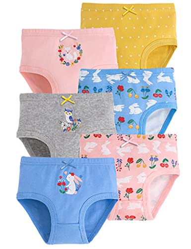 Kiench Girls' Underwear Cotton Panties 6-Pack