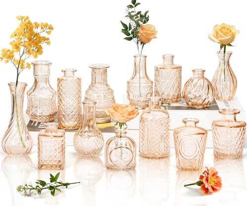 Clear Amber Gold Glass Bud Vase Set of 14 Pcs,Small