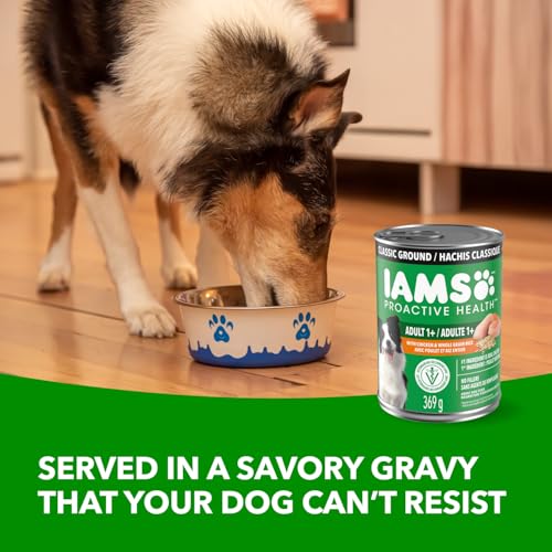 IAMS Proactive Health Adult Wet Dog Food – Chicken & Whole Grain Rice – Classic Ground – 369G Can (13 oz) (12pack) image 2