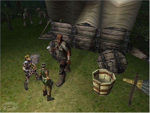Dungeon Siege Psp - vue 4