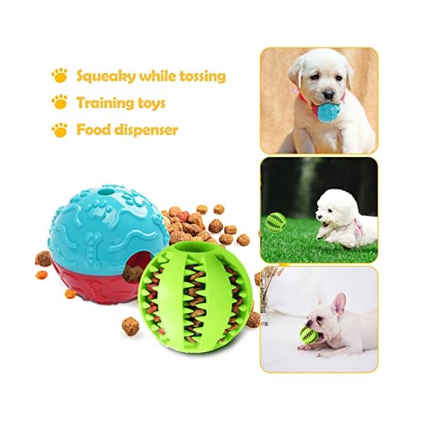 Dog Squeaky Toy for Puppy