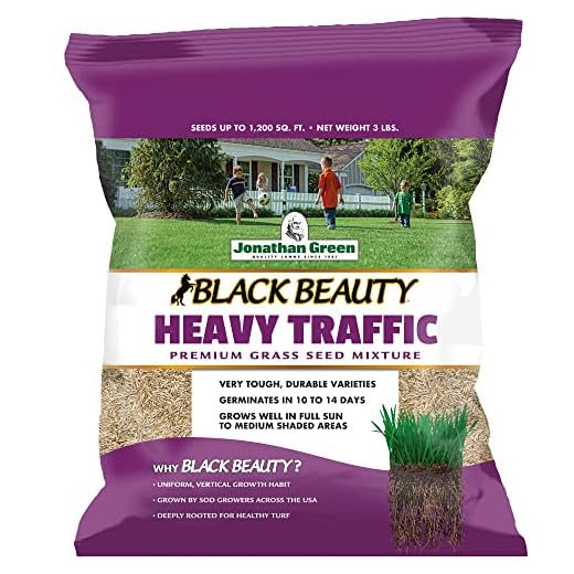 Jonathan Green (10970) Black Beauty Heavy Traffic Grass Seed - Cool Season Lawn Seed (3 lb)