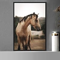 Framed Canvas Wall Art Horse Animals Dramatic Farmhouse/Country Horse Living Room Multicolor Photography - 16x24 inches