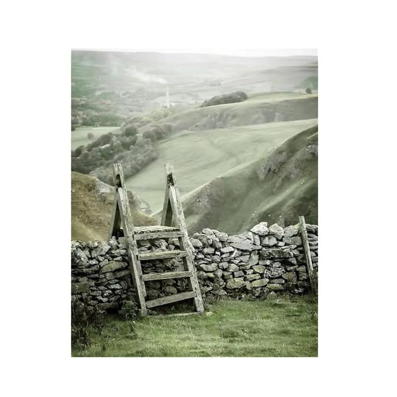 Adhesivos Pared Decorativos Salón Marca 