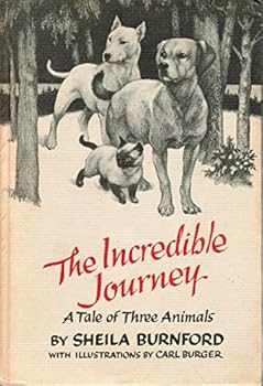 Hardcover Young America book club presents the incredible journey Book