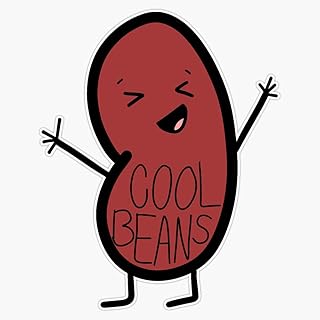 MAGNET Cool Beans Kidney Bean Magnet Bumper Sticker Car Magnet Flexible Reuseable Magnetic Vinyl 5"