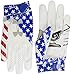 Under Armour Men's Spotlight LE-NFL Football Gloves, White (100)/Metallic Gold, Large