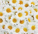 Paket: 100* Mini Blumenkopf.​