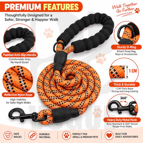 Image of PetVogue FT Nylon Rope Dog Leash, Heavy Duty Training & Walking Lead for Small, Medium & Large Dogs, Reflective Pet Walking Cord with Comfortable Padded Handle & Strong Metal Clip (Orange)