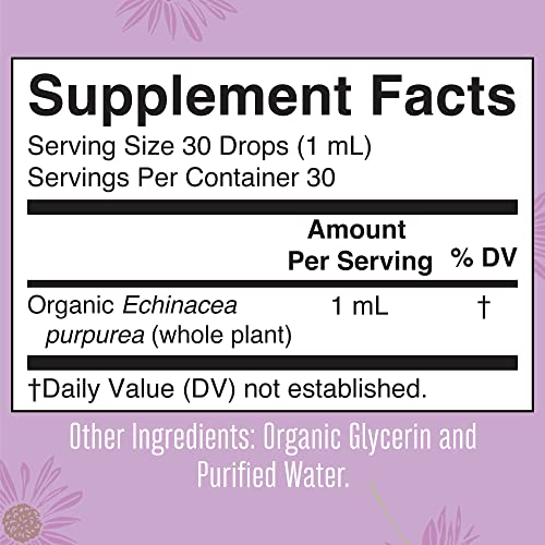Echinacea Purpurea Liquid Drops | Usda Organic | Purple Pitcher Plant Extract | Echinacea Purpurea Extract | Herbal Supplements | Vegan | Non-Gmo | Gluten Free | 1 Fl Oz #TOP4