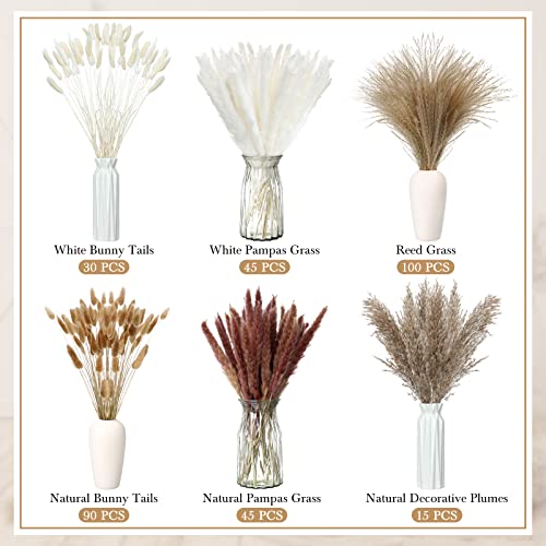 325 Pcs Dried Pampas Grass Decor Bulk 17 Inch White Pampas Reed Grass Boho Dried Flowers Natural Dried Bunny Tail Fluffy Pampas Grass Tall For Wedding Home Party Table Decor #TOP2
