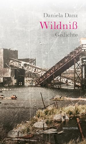 Preisvergleich Produktbild Wildniß: Gedichte
