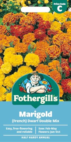 Fothergills Marigold (French) Dwarf Double Mixed Flower Seeds 250 Seeds Sow: Feb-May Orange/Yellow