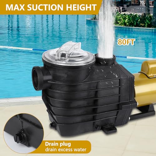 Tropow 02 3Hp Swimming Pool Pump Dual Speed In/Above Ground Water Pump thumb #3