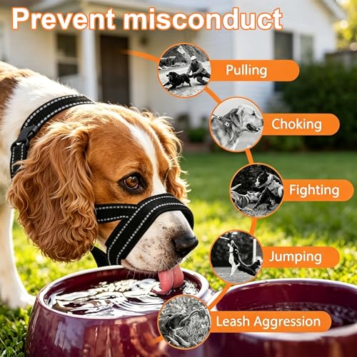 Rainway Antibellhalsband für Hunde Erziehungshalsband mit Gepolstertem Stoff und Verstellbarem Band Atmungsaktives Design Verhindert Bellen Beißen und Kauen Anti Fressen Schwarz Größe L-5
