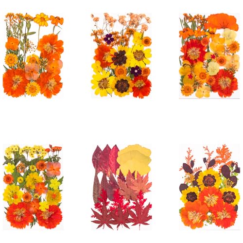 La mejor selección de Hojas secas - los preferidos. 18 Imagen adicional