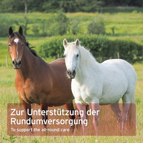 AniForte 4in1 Complete für Pferde 3kg - Natürliche Rundumversorgung mit Bierhefe BT, Hagebutte, Kieselgur, Präbiotika Topinambur, Vitamine & Mineralstoffe