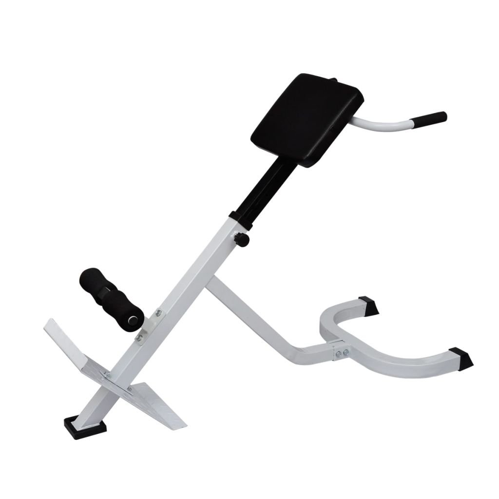 ShGaxin Banco de Ejercicios de lumbares, Rack Musculación, Banco Abdominales, Banco De Pesas Musculacion, Gimnasio En Casa, Banco Gimnasio, Banco Press Banca