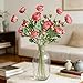 Elyjhyy Artificial Ranunculus Flowers with Real Touch Stem Spray for Home Garden Decoration (Dark Pink)