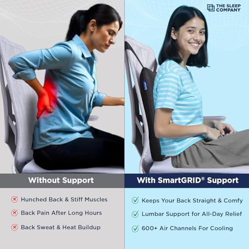 Image of The Sleep Company SmartGRID Ortho Pro Back Cushion | Back Pain Relief | Office Chair & Car Seat Support | Lumbar Support Back Rest | Supports Spinal Alignment & Posture | 600+ Cooling Channels | Black