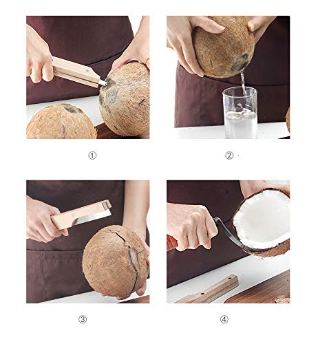 NILKANTH® - Coconut Opener Tool Stainless Steel Coconut Knife with Wooden Handle 4