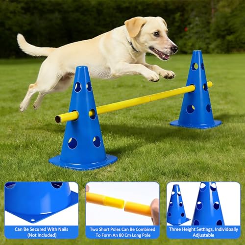 Kit d'obstacles multifonctions pour canaliser l'énergie des chiens - 5