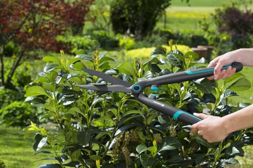 Gardena Heckenschere EasyCut: Leichte Gartenschere zum Schneiden von Hecken und Sträuchern, 20 cm, antihaftbeschichtete Messer, ergonomische Kunststoffgriffe (12301-20)