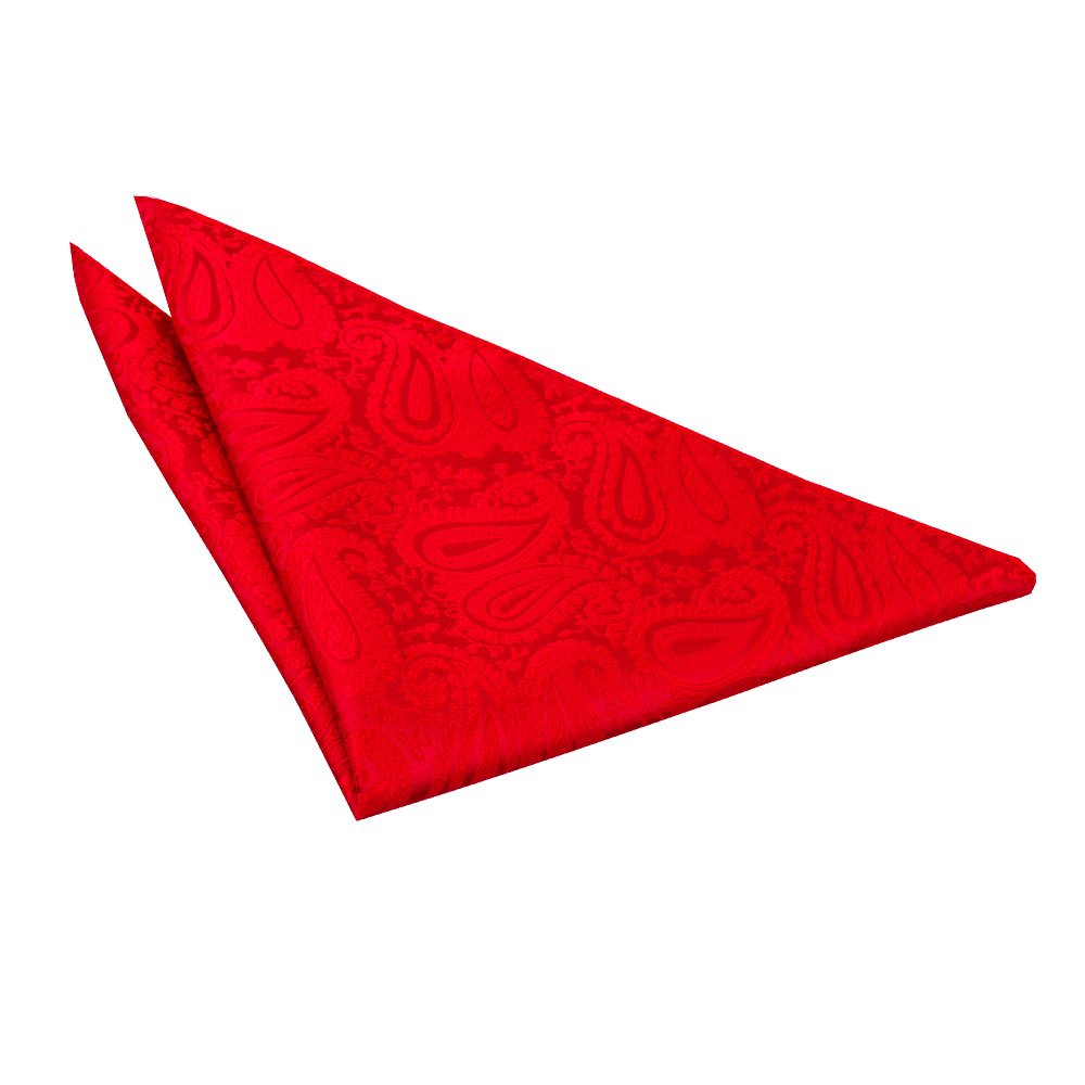 Dqt Men's Red Paisley Floral Jacquard Pocket Square - Wedding, Business & Formal Suit Handkerchief
