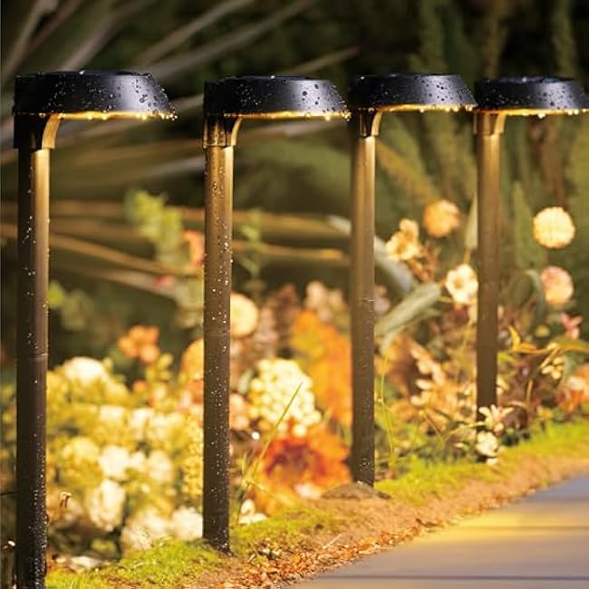 Solar Lights Outdoor Waterproof, LED Solar Pathway Lights Outdoor Garden Landscape Lighting for Walkway Driveway, Auto On/Off, 6 Pack