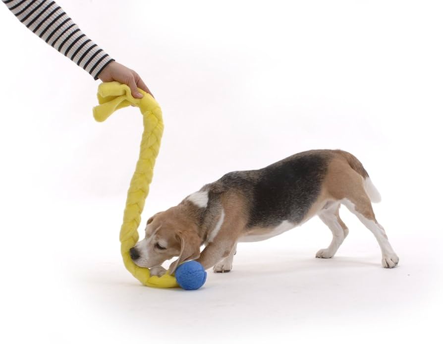 Amazon | エナジー 犬用おもちゃ ロープ ブルー Lサイズ (1個