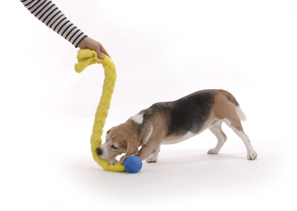 Amazon | エナジー 犬用おもちゃ ロープ ブルー Lサイズ (1個