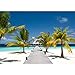 Produktbild Vlies Fototapete PREMIUM PLUS Wand Foto Tapete Wand Bild Vliestapete - Strand Meer Beach - no. 165 Strand Meer Nordsee Ostsee Beach Urlaub Blau Palmen, Größe:350x245cm Vlies